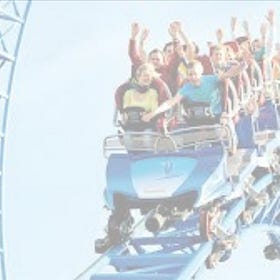 The Roller Coaster