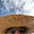 On an island's avatar