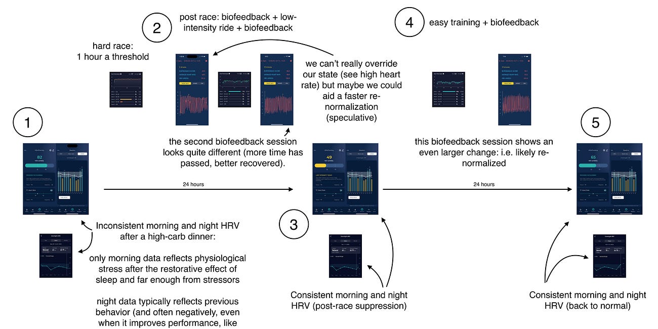 Case study: morning vs night HRV and using low-intensity exercise and slow, deep breathing to (possibly!) aid recovery