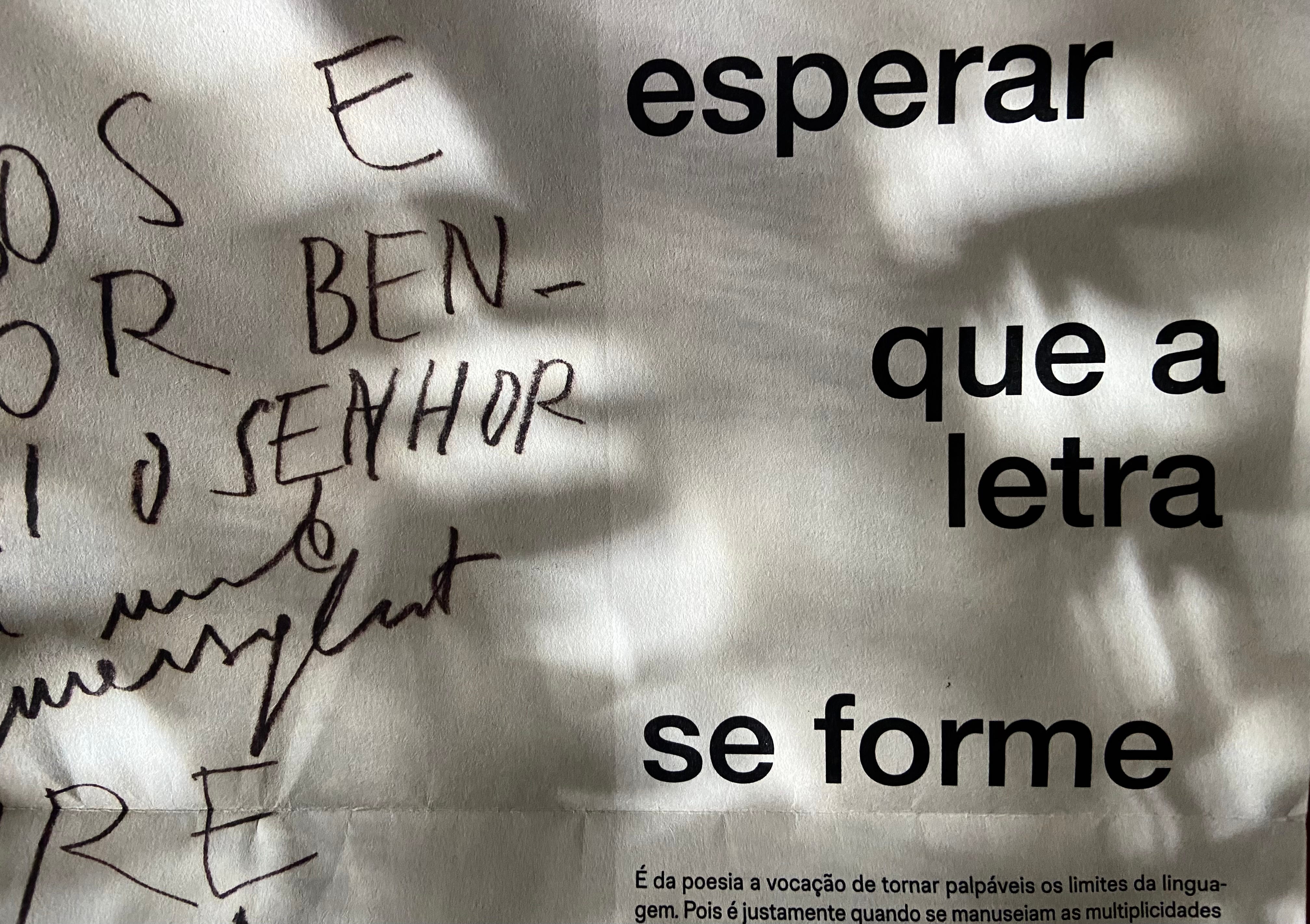 2 pelo direito de demorar - by Cristina Rioto, image size:4032x2845