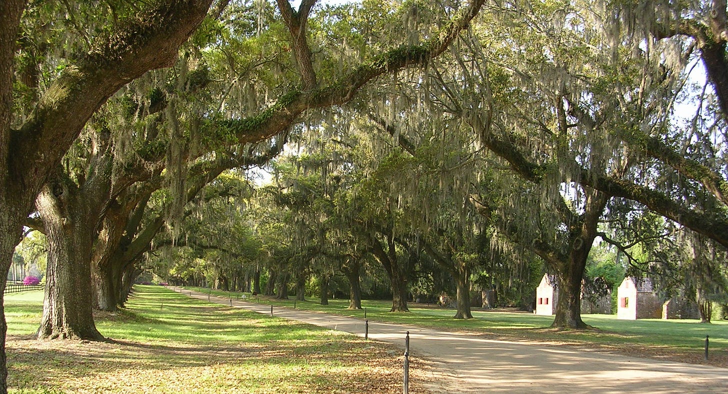 boone hall slave houses