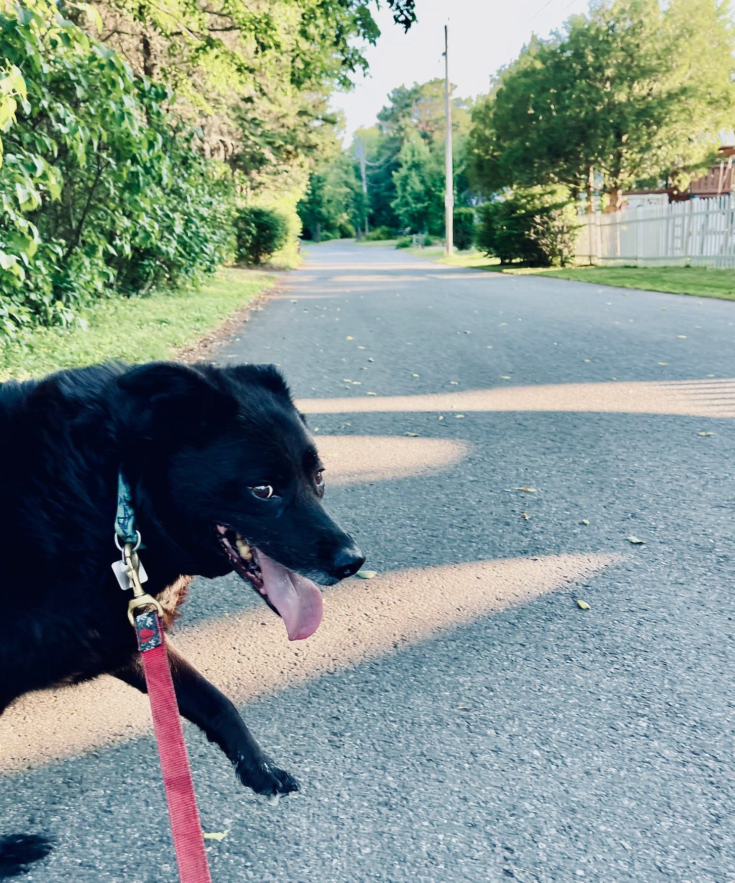 Sparty walking down the street in Maine