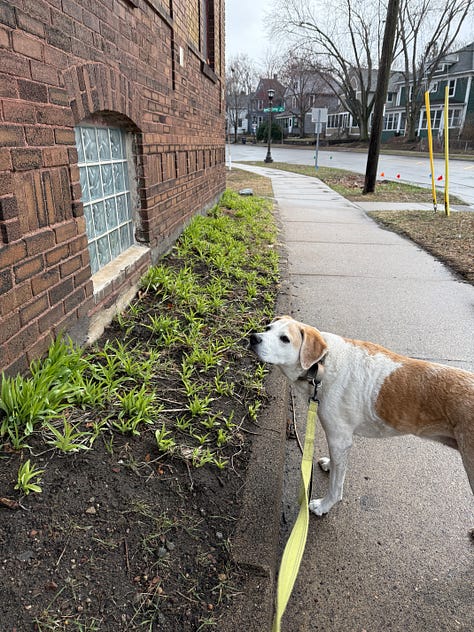 boring day to day photos