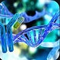 Biotech Bagholder's avatar