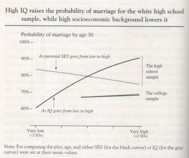the-bell-curve-1994-herrnstein-and-murray-graph-p-172