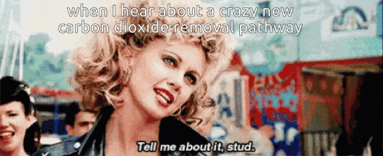 GIF from the final scene of Grease: Olivia Newton-John as Sandy, curled hair and leather jacket, at the carnival. Top text: "when I hear about a crazy new carbon dioxide removal pathway" Bottom subtitle: "Tell me about it, stud."