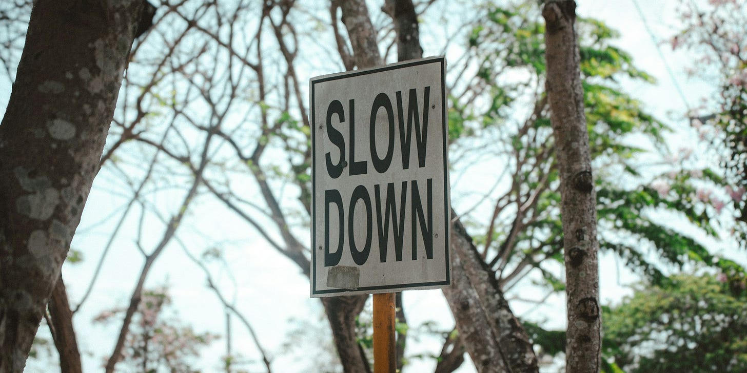 A slow down sign in front of some trees A slow down sign in front of some trees