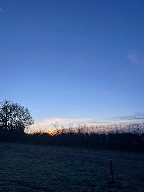 sunrise over frosty fields