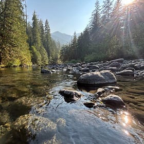 Lessons from the Dosewallips
