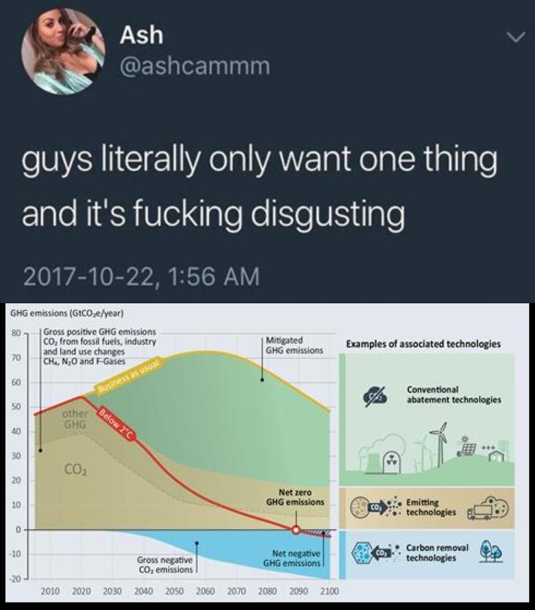 Screenshot of a tweet by Ash (ashcammm), dated 2017-10-22, 1:56 AM: "guys literally only want one thing and it's fucking disgusting". Below, an emissions pathway chart titled "GHG emissions (GtCO2e/year)" running 2010 to 2100, with curves labeled "Business as usual" and "Below 2°C", areas labeled "Gross positive GHG emissions: CO2 from fossil fuels, industry and land use changes; CH4, N2O and F-Gases", "Mitigated GHG emissions", "other GHG", "CO2", "Gross negative CO2 emissions", points labeled "Net zero GHG emissions" and "Net negative GHG emissions", and a side panel "Examples of associated technologies": "Conventional abatement technologies", "Emitting technologies", "Carbon removal technologies".