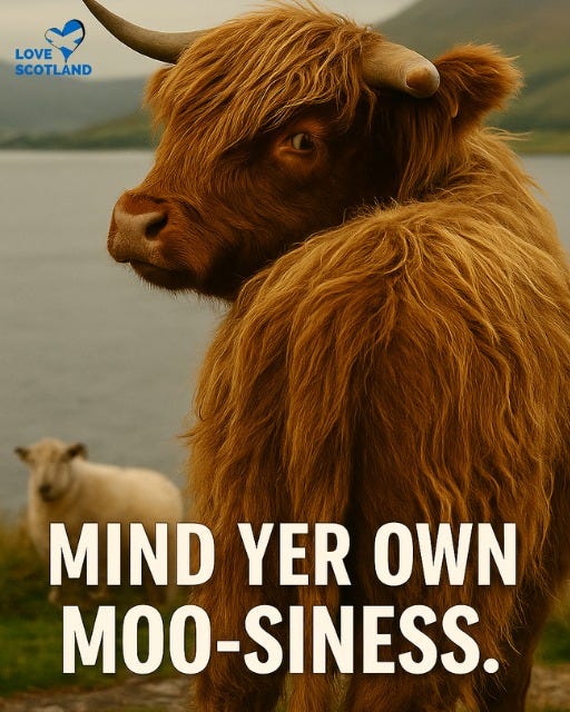 May be an image of text that says "LOVE SCOTLAND MIND YER OWN MOO-SINESS."