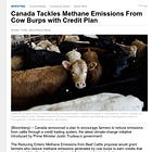 NOT BABYLON BEE: Canada Tackles Methane Emissions From COW BURPS with Credit Plan