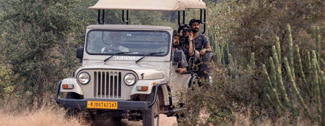 raas-chhatrasagar-wildlife-safari
