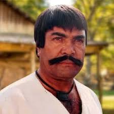 Pakistani Sultan rahi movie