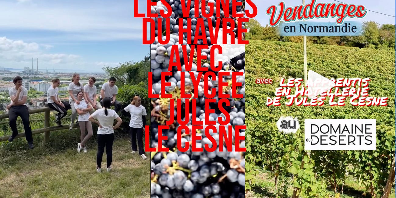 La Compil’ : Les vignes normandes de Graville