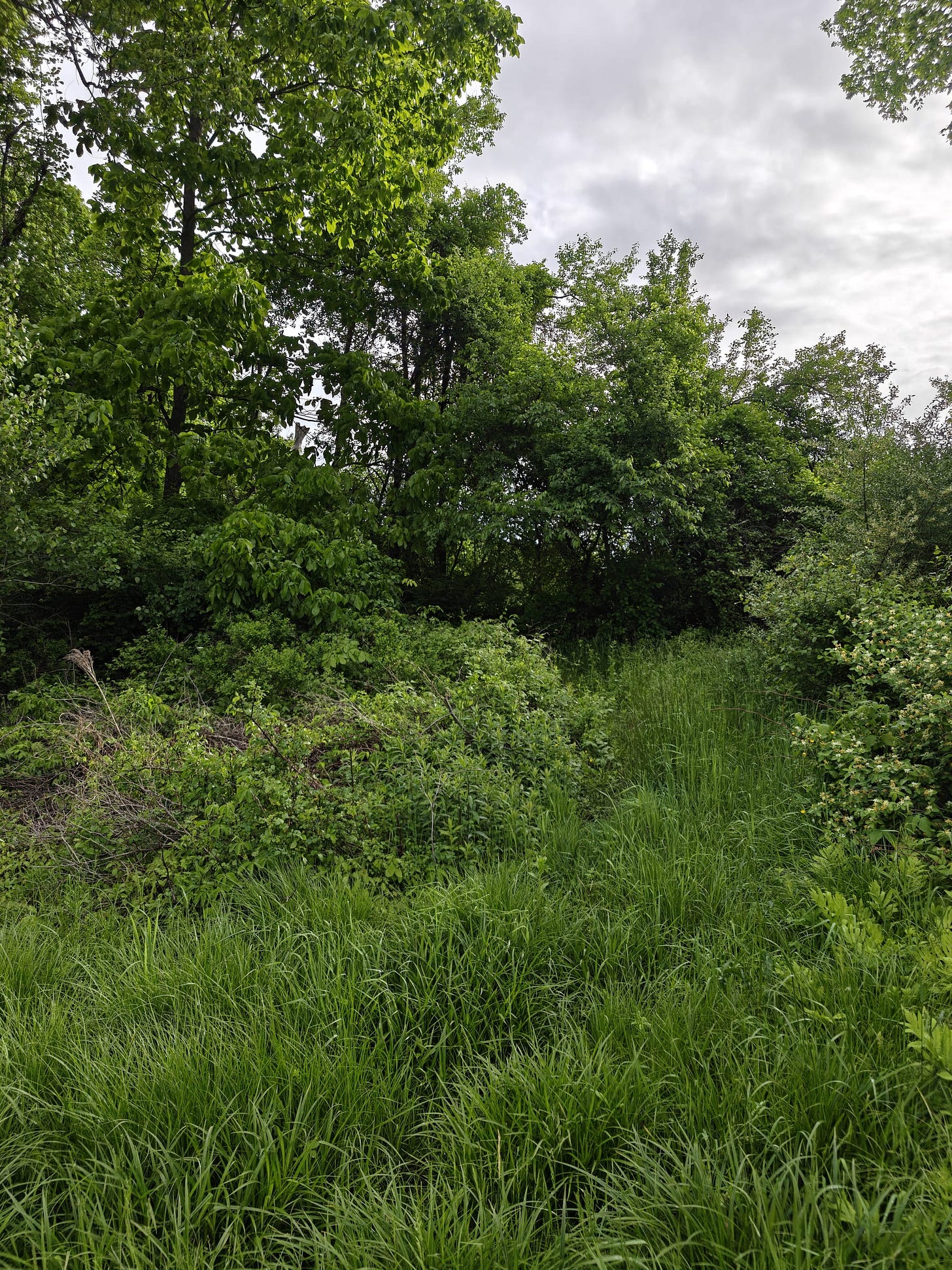 A Trek Along the Cocheco Railroad