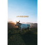 xiaoniulinju小牛邻居's avatar