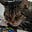 Soncat's avatar