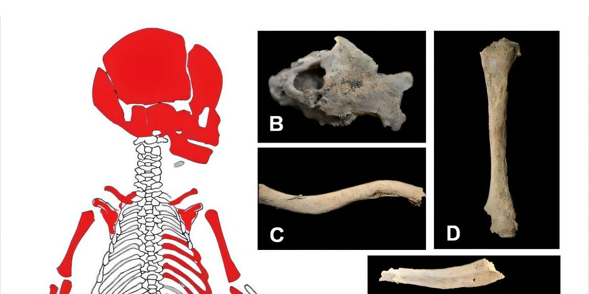 4 Ancient Ecuador Genomes Hint at 1,500 Years of Continuity
