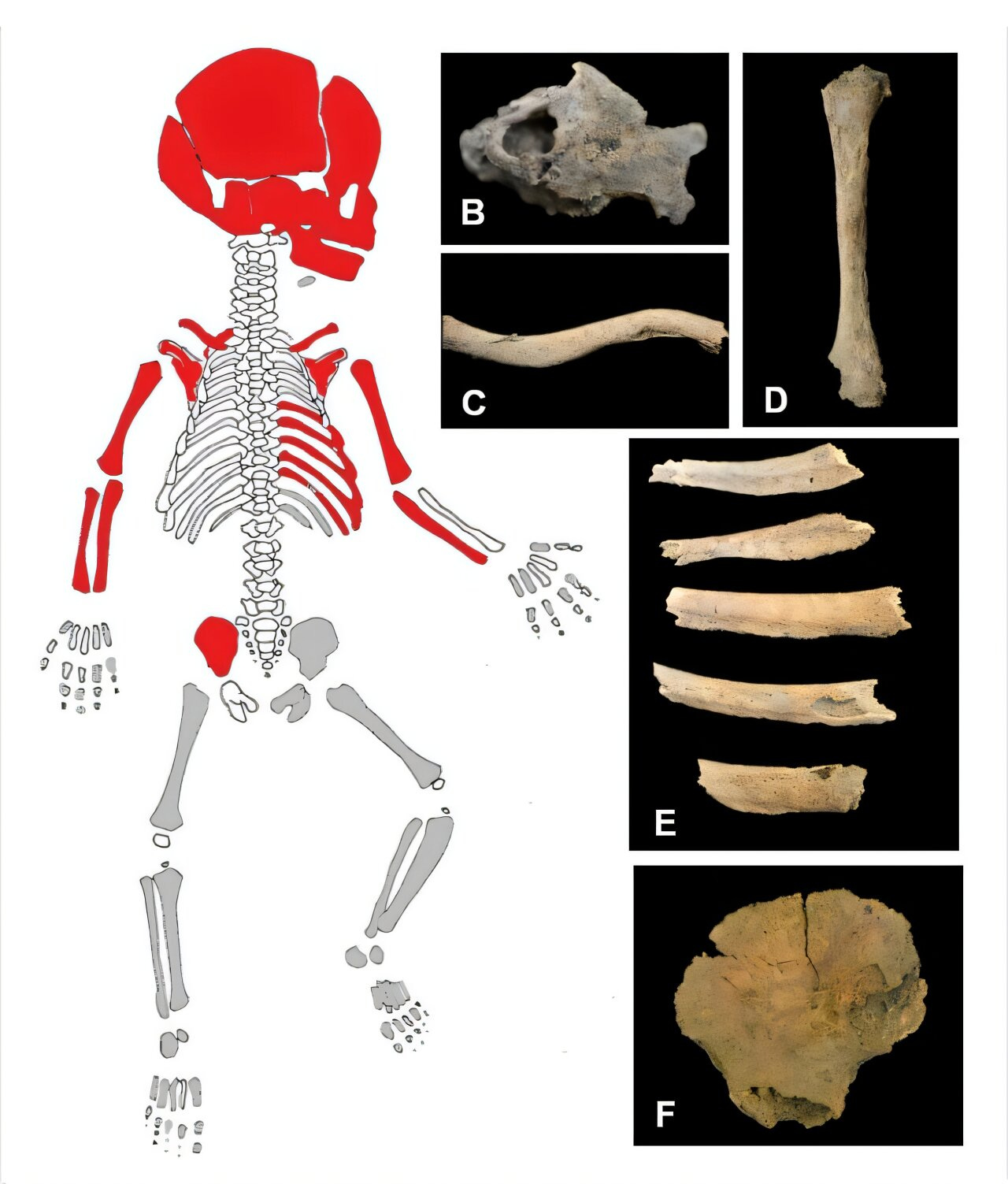 4 Ancient Ecuador Genomes Hint at 1,500 Years of Continuity