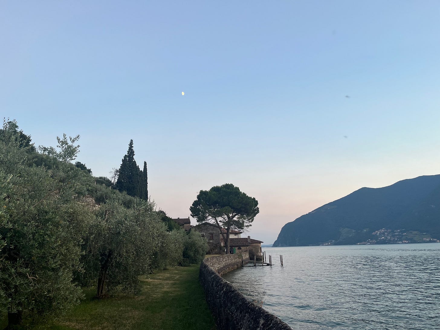 Olivenhain am See mit Bergen im Hintergrund bei Abendlicht, der Mond ist auch sehr klein sichtbar.