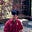 Jeff Tse's avatar