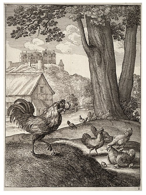 File:Wenceslas Hollar - The cock and the jewel.jpg