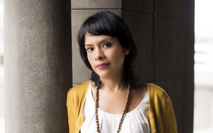Nelly Luna Amancio Archives - MediaPowerMonitor