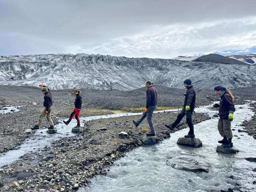 Conservation volunteering in Iceland