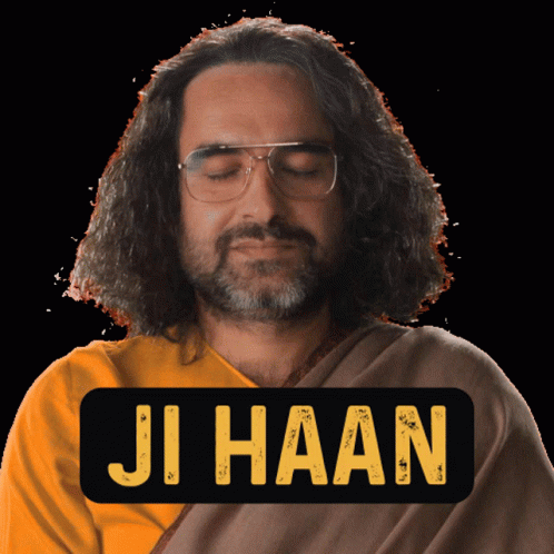 JJi Haan जीहाँ GIF - JJiHaan जीहाँ ठीकहै GIFs