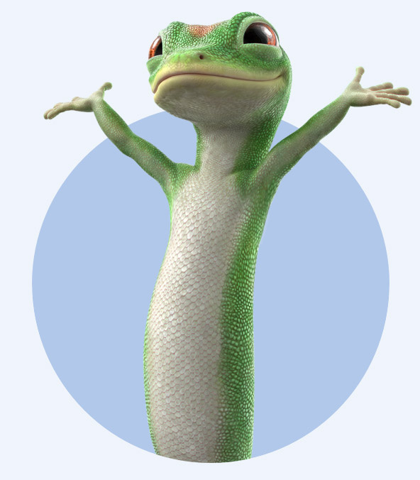 The Geico gecko The Geico gecko