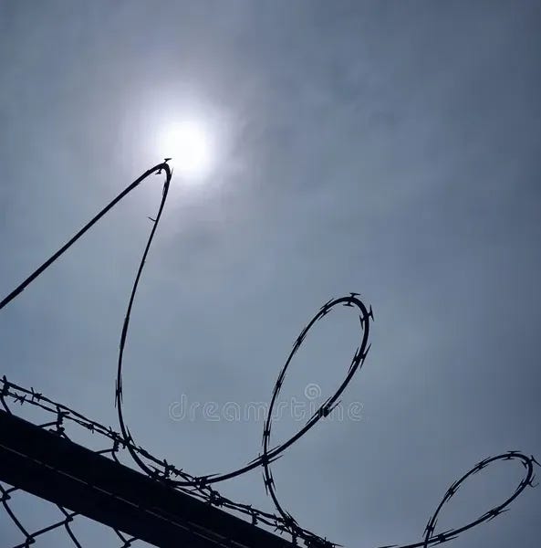 The Razor-Wired Moon