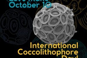 International Coccolithophore Day