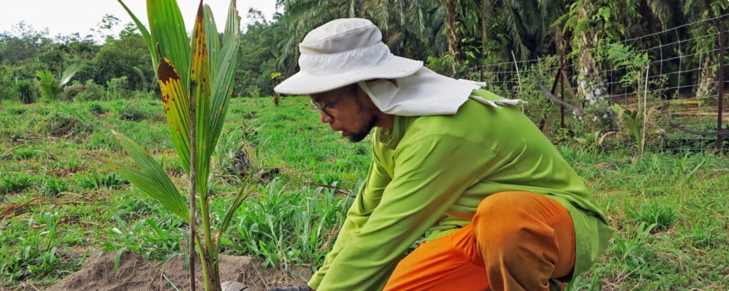 对马来西亚种子和食品主权的威胁 – Savage Minds