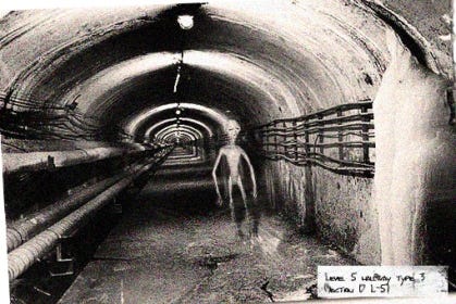 Solipsi Rai What is a grey alien? - by Diana Barahona - Full Disclosure