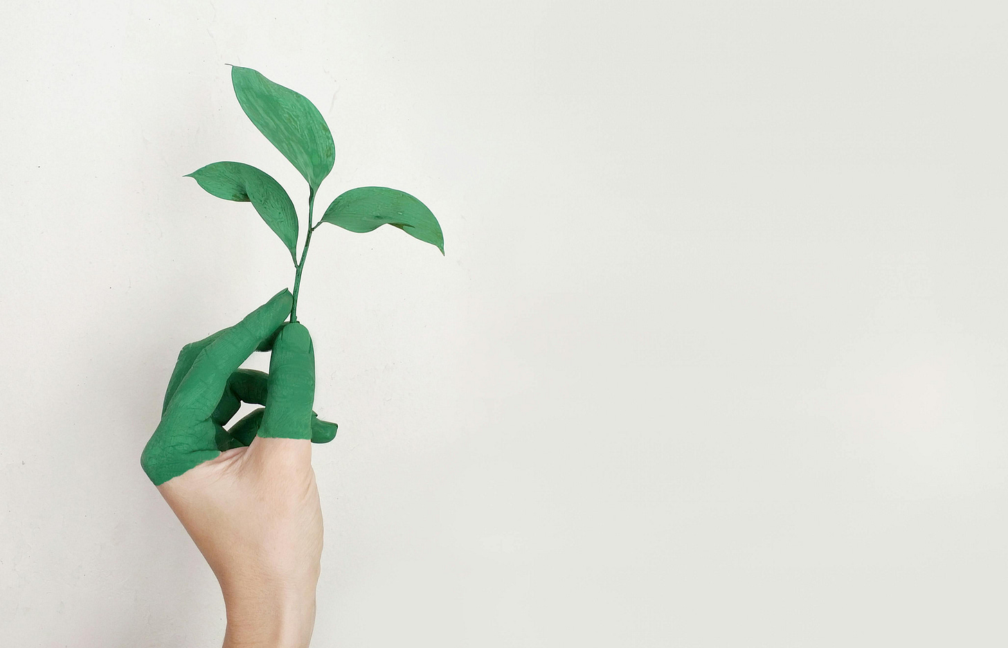 A plant growing out of a hand.