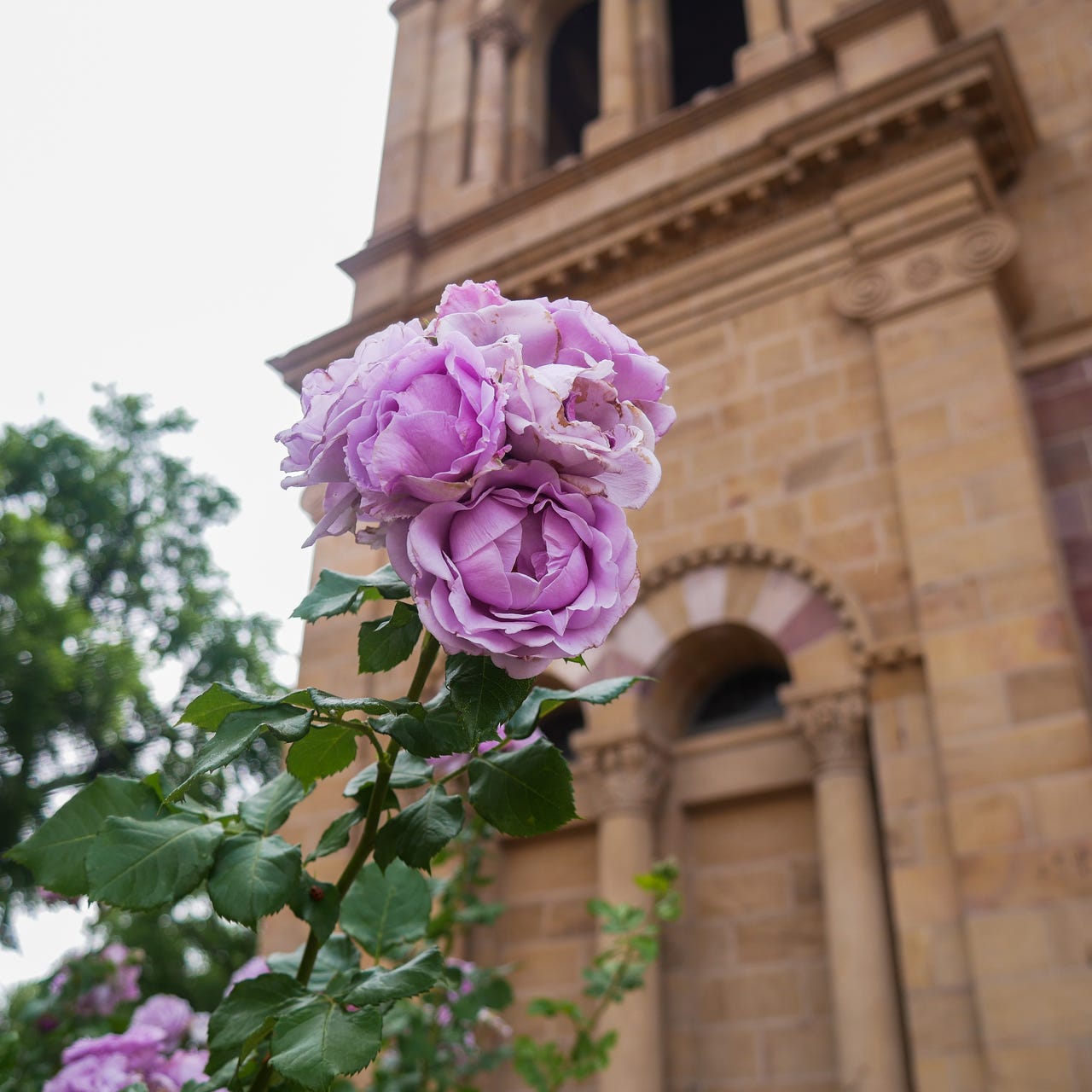 Artwork for Aspire to Mystery