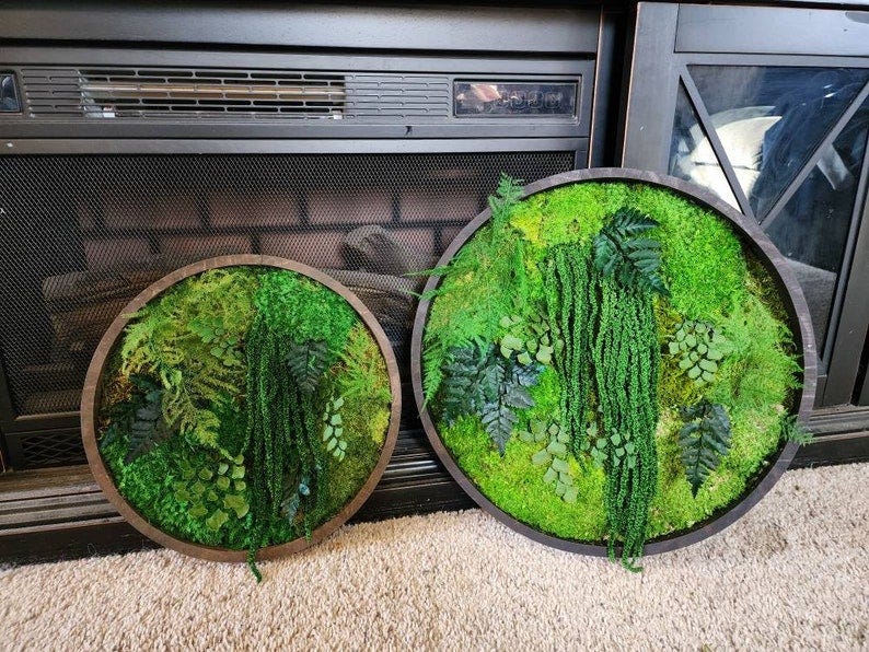 Real moss art wall hanging gift baby wedding decor plants image 8