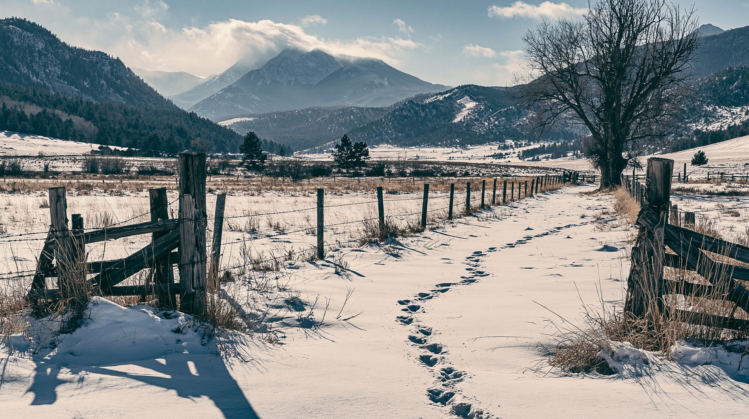 Deer prints wander through the snow covered mountain valley. Deer prints wander through the snow covered mountain valley.