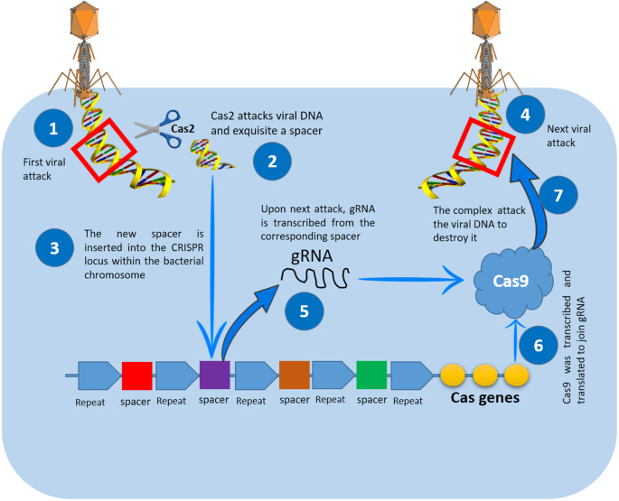 figure1 figure1
