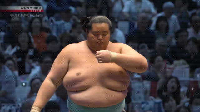 Sumo Stomp! | Tim Edwards | Substack