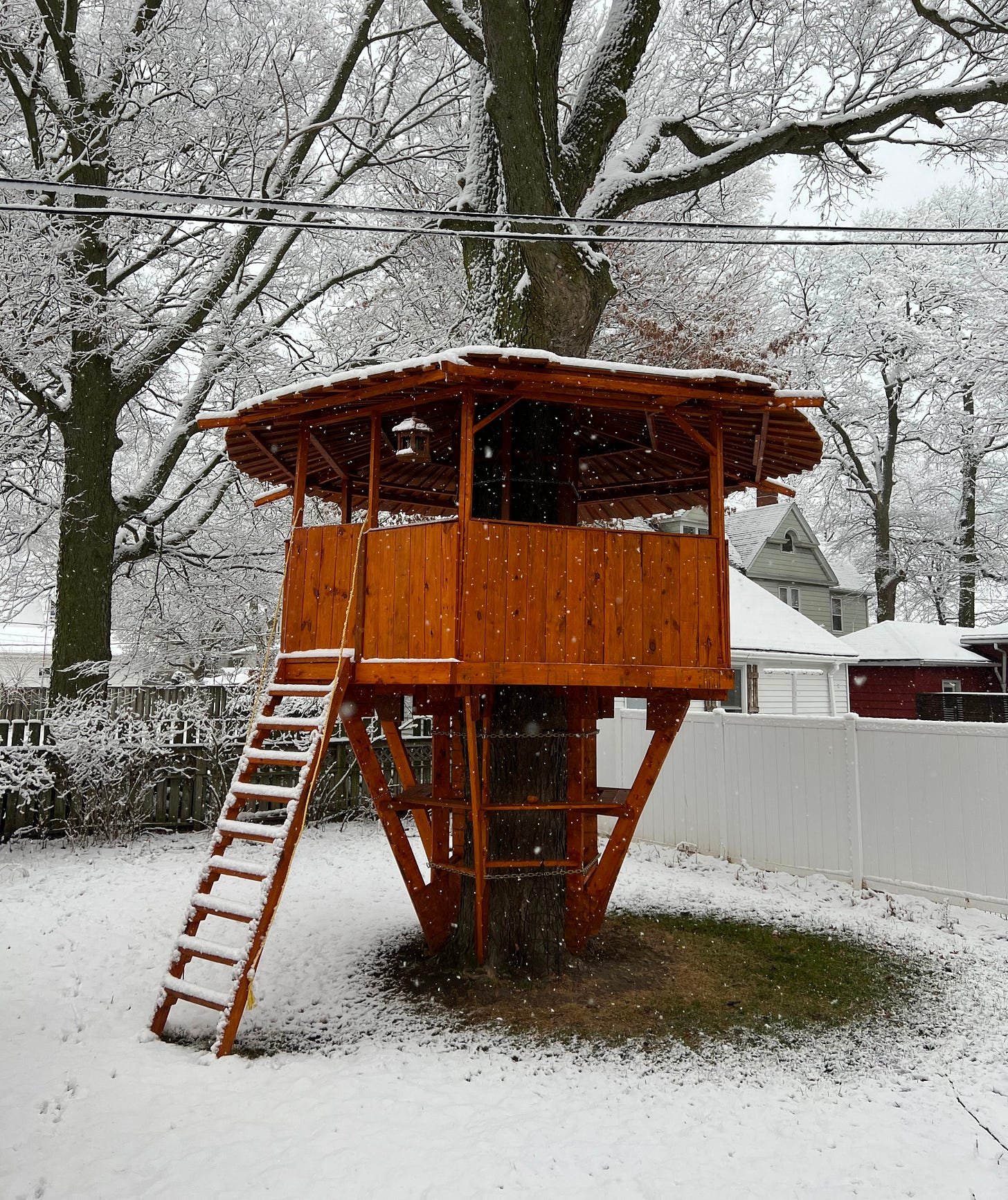 A snowy view of a treehouse