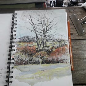 A Winter Palette