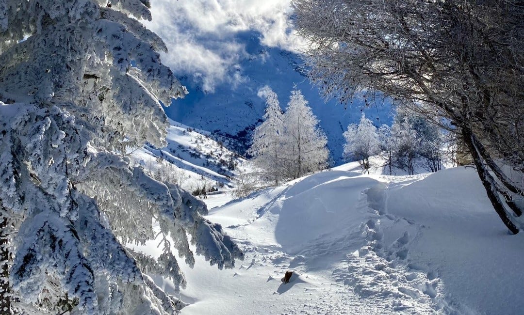 A meditation on Alpine snow