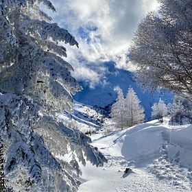 A meditation on Alpine snow