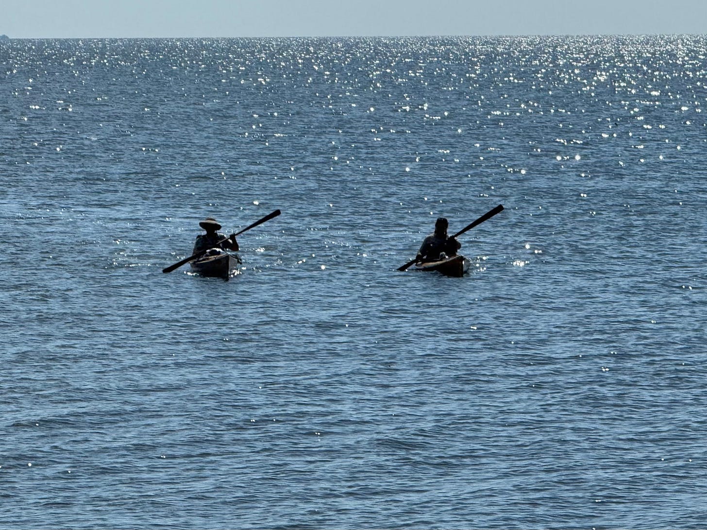 Where are my waves? I was promised open water!