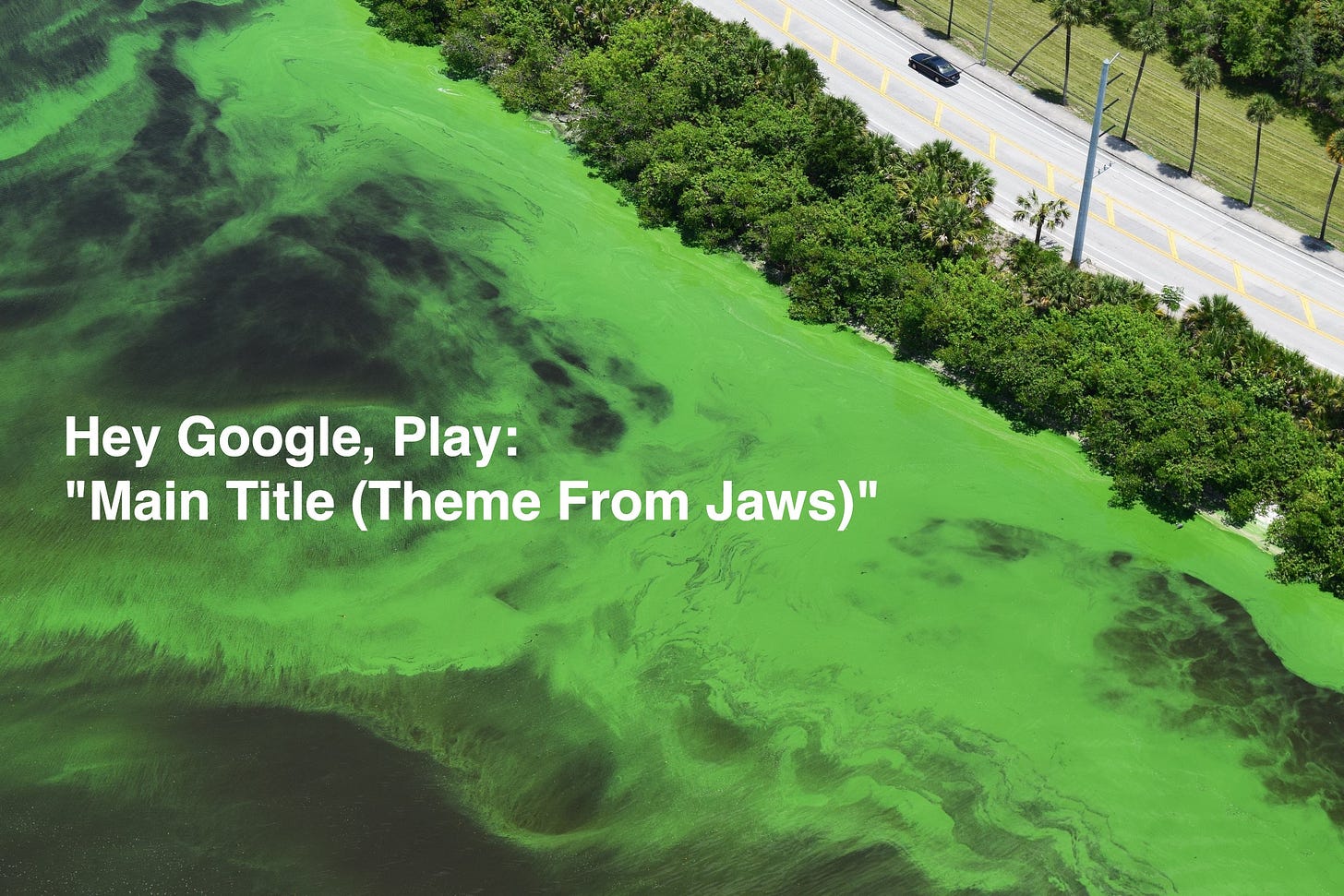Study finds source of toxic green algal blooms and the results stink