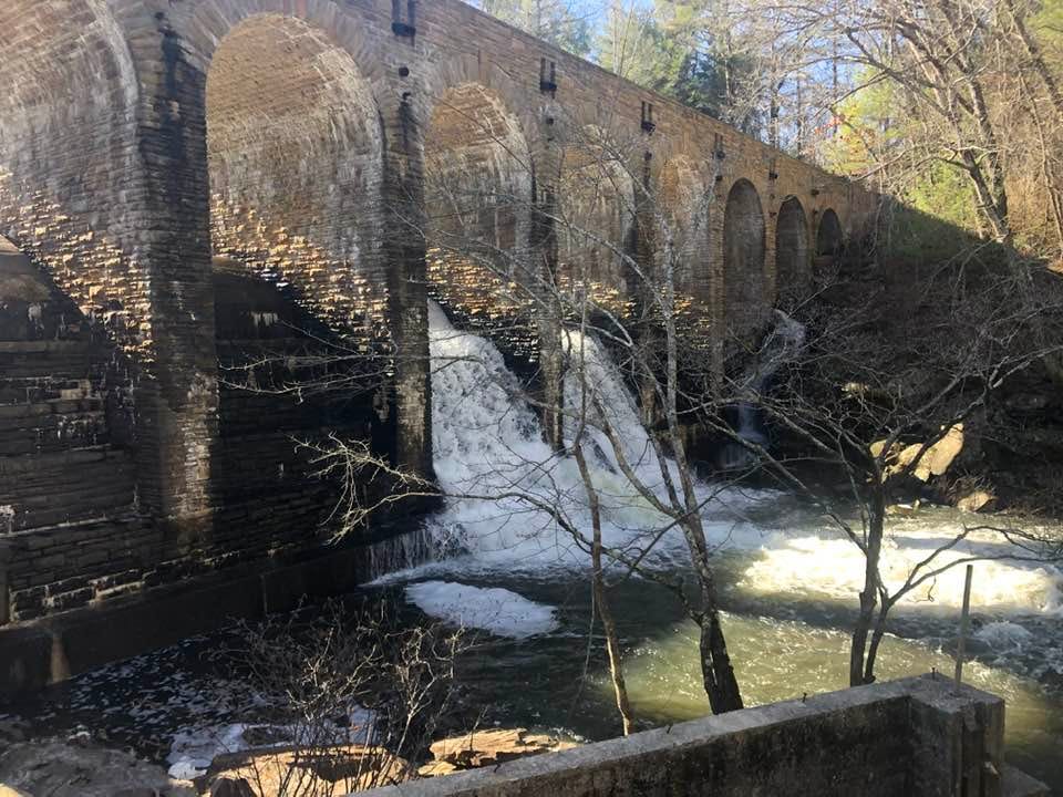 May be an image of nature