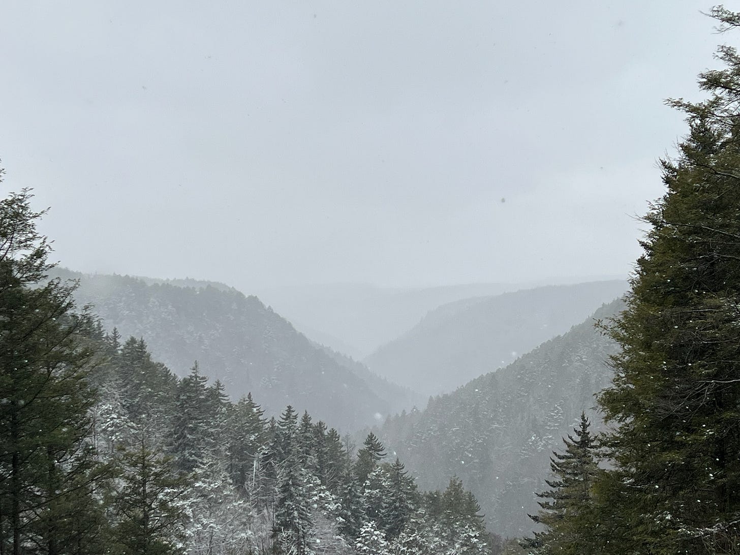 Snow in the evergreen trees and mountains near Davis, WV