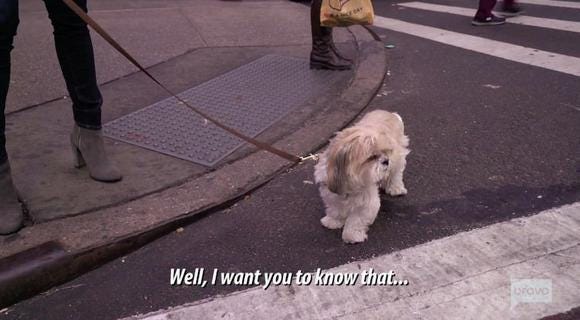 Real Housewives Of New York Star Ramona Singer&#39;s Dog Coco Died - NewsBreak